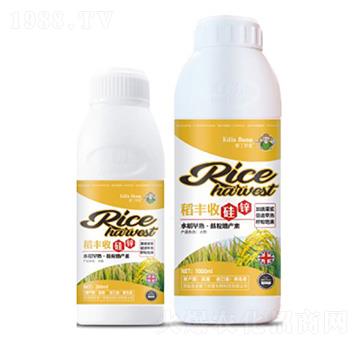 ���S�չ��\-��(��i)������