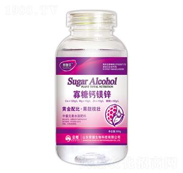 �����}�V�\-ِʩ��(l��)-�sҫ�r(n��ng)�I(y��)