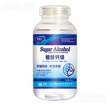 �Ǵ��}�V-ِʩ��(l��)-�sҫ�r(n��ng)�I(y��)