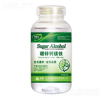 �����}�V�F-ِʩ��(l��)-�sҫ�r(n��ng)�I(y��)