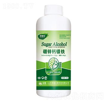 ���\�}�V�F-ِʩ��(l��)-�sҫ�r(n��ng)�I(y��)