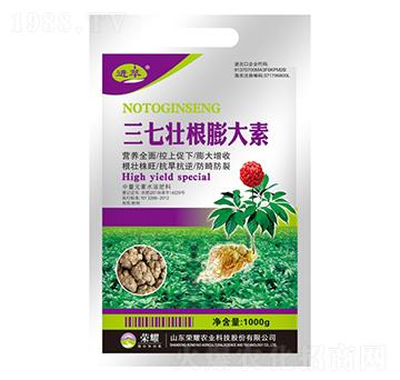 ���߉Ѹ������-�M(j��n)��-�sҫ�r(n��ng)�I(y��)