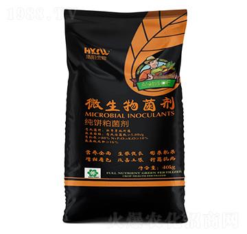 ΢�������-���(y��ng)����