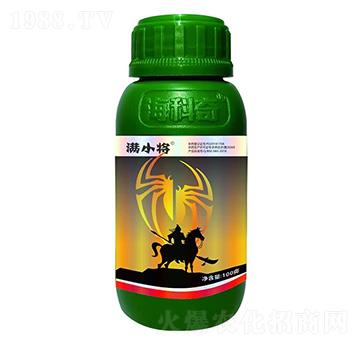 20%������-�MС��-������