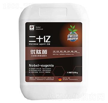 ��(y��u)�ľ�-��ʮ�|-�Zؐ��