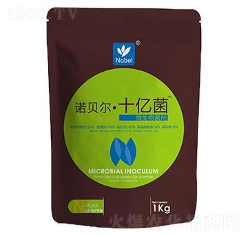 ʮ�|��΢�������-�Zؐ