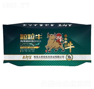 ��������������ĵ���-���ɹ�