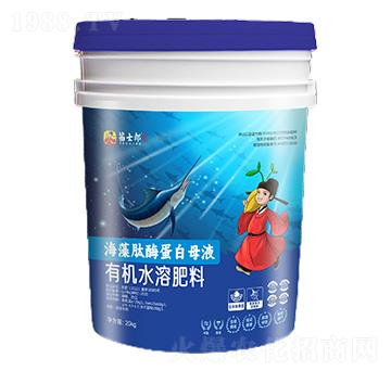 ������ø����ĸҺ-��ʿ��