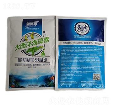 大西洋海藻素-魯?shù)掳? />
</div>
</div>
<style type=