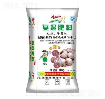 ���������[��(f��)�����10-6-12-�����S