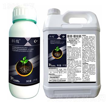 9%���ǡ������-�ƾ�(xi��n)-����¡����