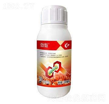 1%�׾S���x(ch��ng)����-�ſ�-����¡����