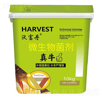 ΢�������-��ţ-�ָ���-��˼���r�I(y��)