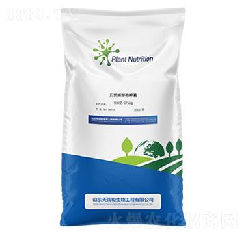 ؐ�R˹ѿ�ߗU��-�읙������