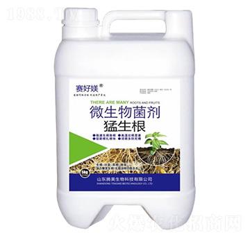 ΢�������-������-�v������