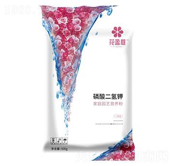 ��ͥ�@ˇ�I�B(y��ng)�ۣ��������⛣�-��ӯͥ-�A���������F