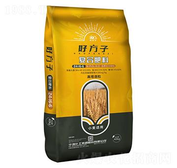 С���m�ÏͺϷ���24-16-6-�÷���-�A���������F