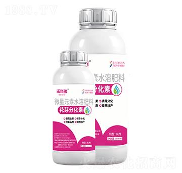 ��ѿ�ֻ���-�ֿ���-����ķ