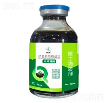 ���������ߵ���-��(chu��ng)�|�z-�Ƶ��A