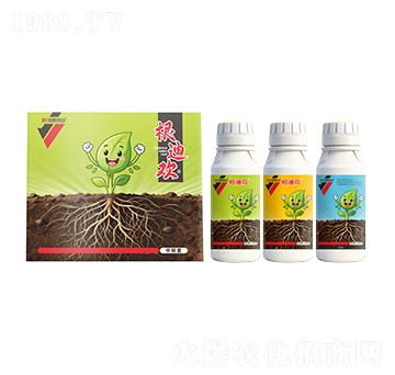 根迪歡-中新友合