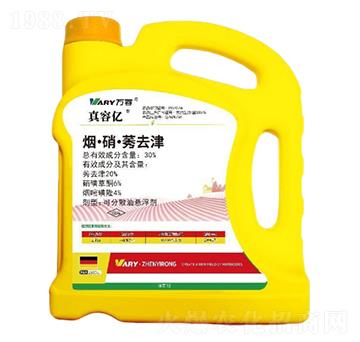 30%��������ݬȥ��-���݃|-�f(w��n)��