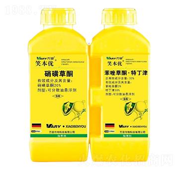 20%���ǲ�ͪ+33%�����ͪ���ض���-Ц����(y��u)-�f(w��n)��