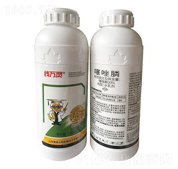 20%�����-���f(w��n)�`-��������