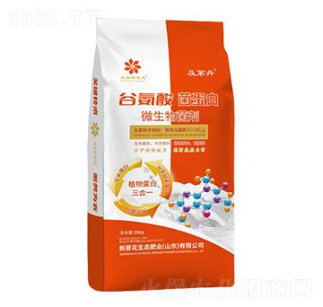 ΢��������A��-�Ȱ��������-���⻨