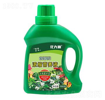 天南星科型家庭園藝濃縮營(yíng)養(yǎng)液-花大帥-綠沃肥業(yè)