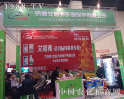 ���������N�����݌�����