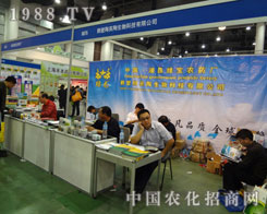 ���h�G���rˎ�S��չ2011ֲ���� ��؞�L��