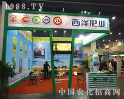 ����ʘI(y��)����ԭ�����p��������������