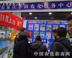 ʯ���f�S�ﻯ����˾�ӱ�ֲ����һ�ɷ�æ����