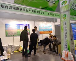 ��14���׏�(f��)�ʕ�(hu��)�h�ϵ������r(n��ng)�I(y��)