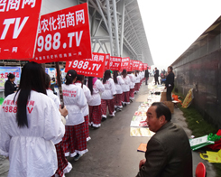 �r(n��ng)����(zh��n)ʿጷŻ���ʎ����2013�Ϸ��׏�(f��)�ʕ�(hu��)��