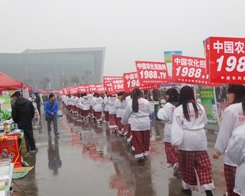 ��2013ֲ���p�����r��������������������