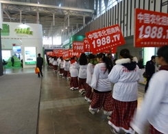 �r(n��ng)���W(w��ng)�ڵ�29��ֲ����������һ���_�A