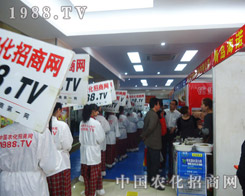 2013�Ϸʷ��Ͻ��ו��ϣ��҂���һ�������L(f��ng)������