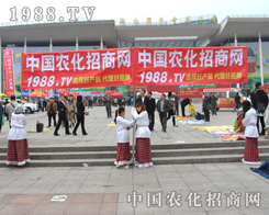 ��С��ꖡ���F��������2014��(j��)��ֲ����