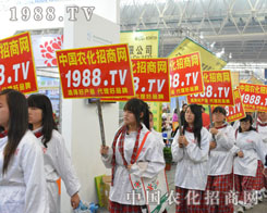 �r(n��ng)�����̾W(w��ng)�ڵ�30��ֲ�������W���ǈ�