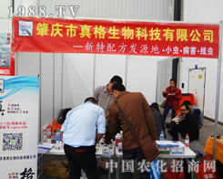 �������Ƽ�����2014ֲ���p����