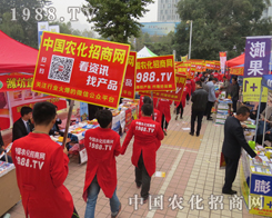 �r(n��ng)�����̾W(w��ng)ף2015����ֲ���p�����A�M�ɹ�