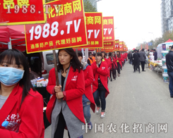 2015�Ϸ�ֲ����(hu��)���r(n��ng)���W(w��ng)�gӭ���ĵ���(l��i)