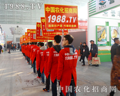 1988.TV�����ˆT�����w�P���������