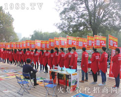 1988.TV��2016����ֲ�����ו��ϱ��F(xi��n)ͻ��������������׷������҂����x�ͣ�