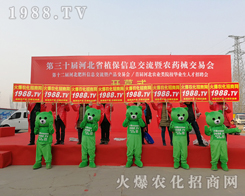 �L(f��ng)��Ҋ�ʺ磬2019�ӱ�ʯ���fֲ�����ϵļt�¼�ʿ��(chu��ng)�ѿ���