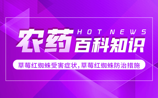 ��ݮ�t֩���ܺ��Y������ݮ�t֩����δ�ʩ