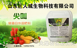 �����˳����ף������µ�һ�������w�����������³ɣ��f��������