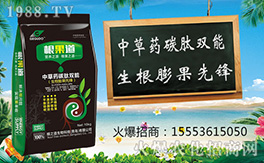 �����u��֮����ףԸһ·�������т����w�������i�꼪����