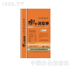 �l(xi��ng)������-�l(xi��ng)�匢܊�